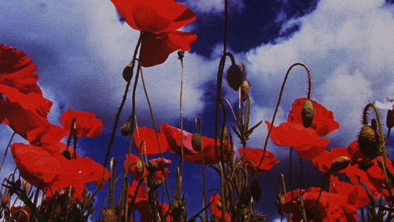 кадр из фильма Wasteland No. 1: Ardent Verdant