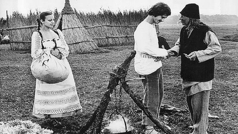 кадр из фильма A csillagszemű