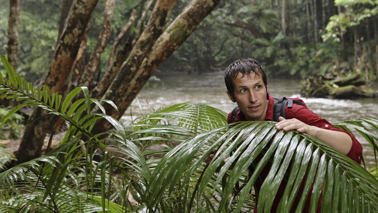 кадр из фильма Willi und die Wunder dieser Welt