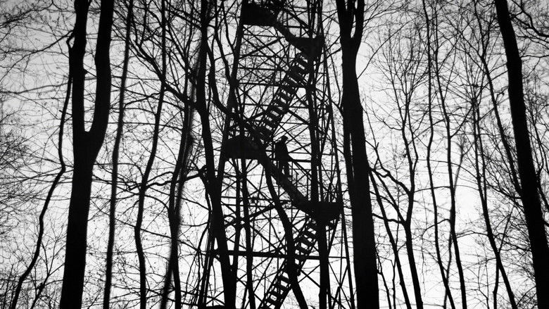 кадр из фильма Black Soil, Green Grass