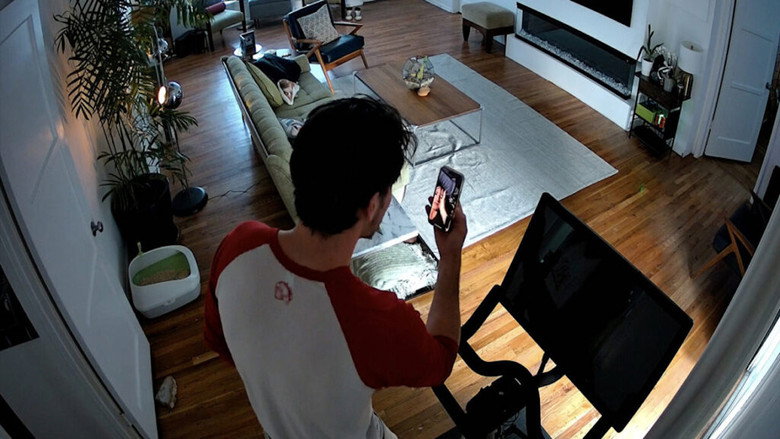 кадр из фильма Cat Cam