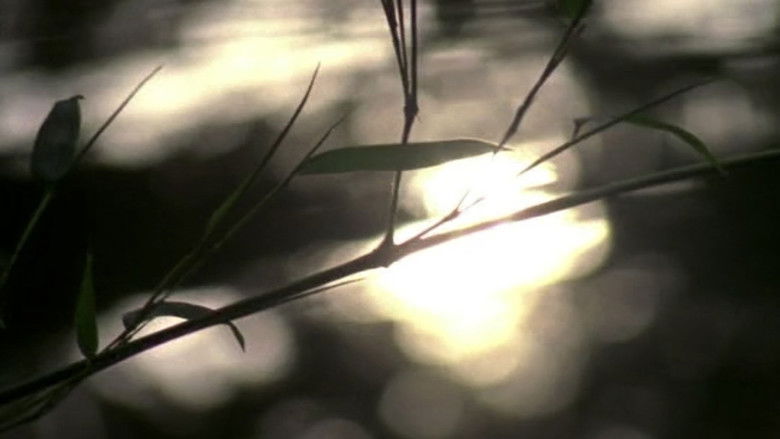 кадр из фильма Hypnosis Display