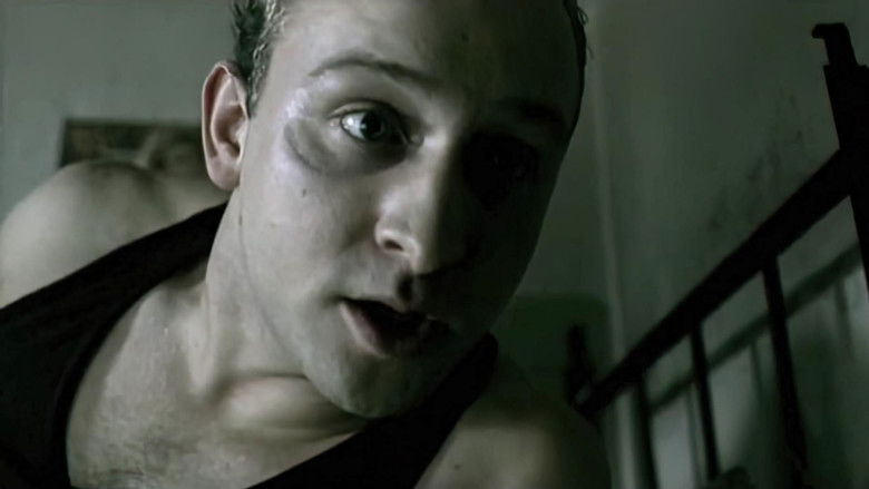 кадр из фильма Симметрия