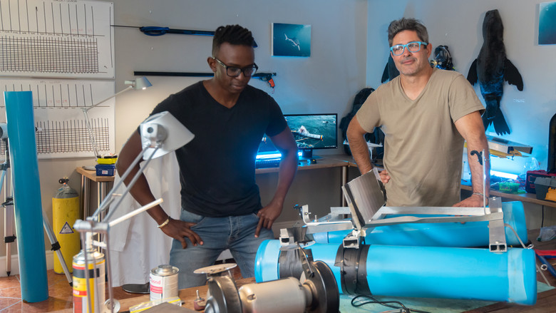 кадр из фильма Акула - хищник в камуфляже