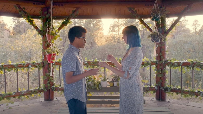 кадр из фильма bloom