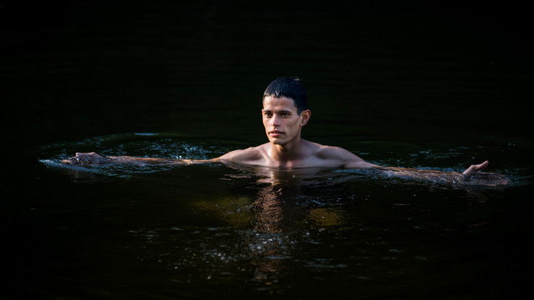 кадр из фильма Guacho