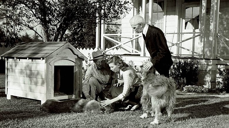 кадр из фильма You Never Can Tell