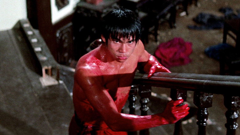 кадр из фильма Боксер из Шантунга