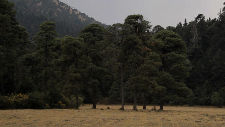 кадр из фильма Pradera