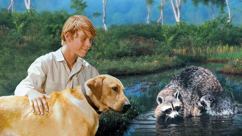 кадр из фильма Rascal