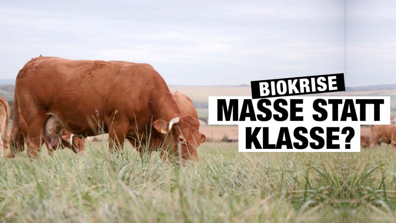 кадр из фильма Bio, la crise de foi