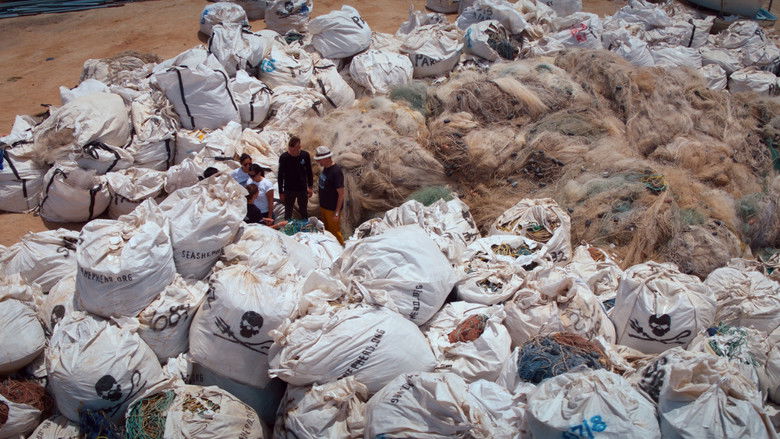 кадр из фильма Sea of Shadows