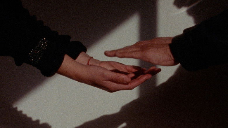 кадр из фильма Una sombra oscilante