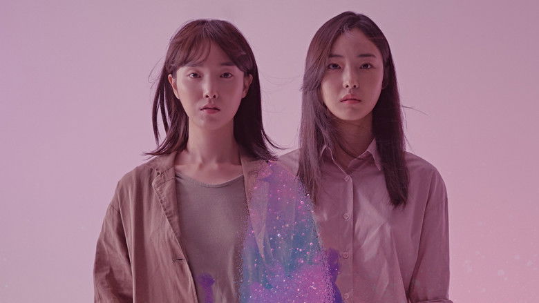 밤의 문이 열린다