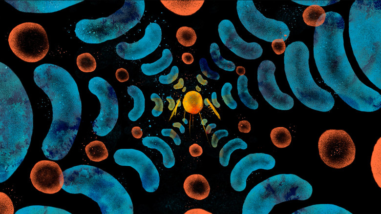 кадр из фильма Catgot