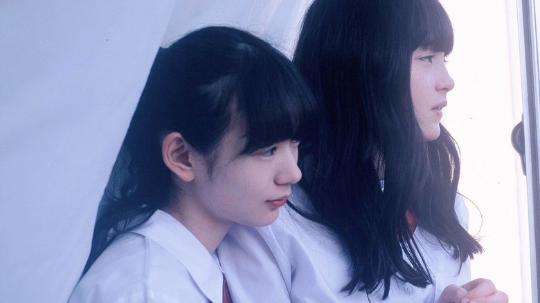 кадр из фильма Встречи