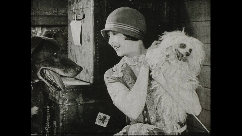 кадр из фильма Wonder Dogs! Canine Stars of the Silent Era (1898-1928)