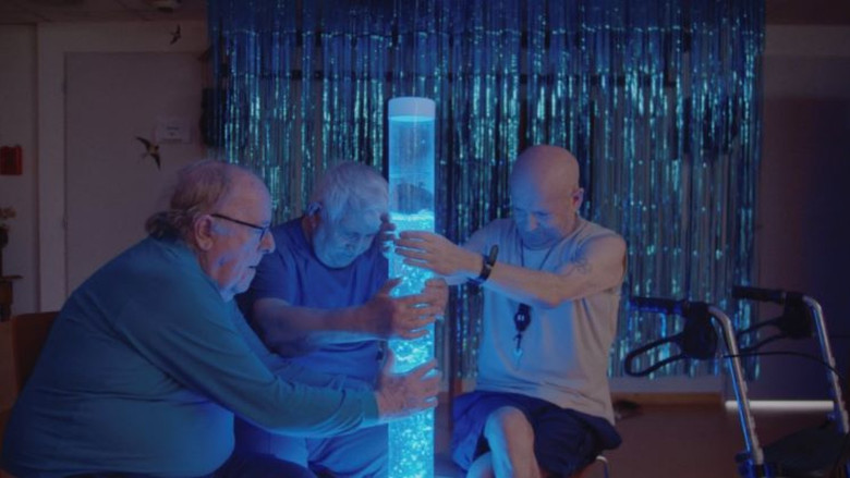 кадр из фильма Attention brouillard