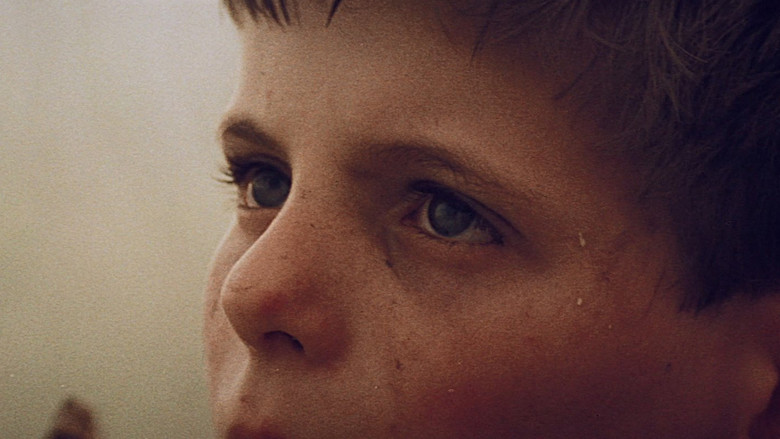 кадр из фильма Рыжая фея