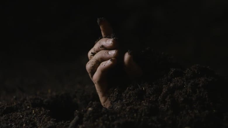 кадр из фильма Rite