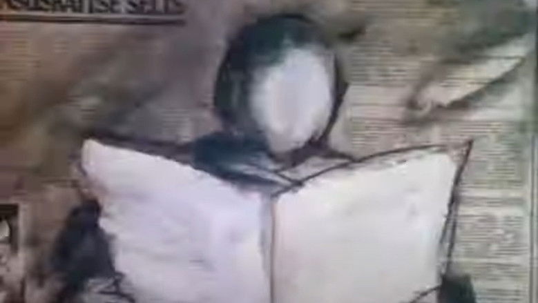 кадр из фильма Анимированные автопортреты