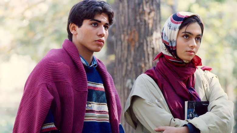 кадр из фильма دختری با کفش‌های کتانی