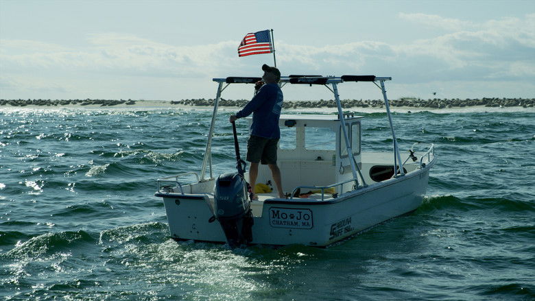 кадр из фильма Great White Summer