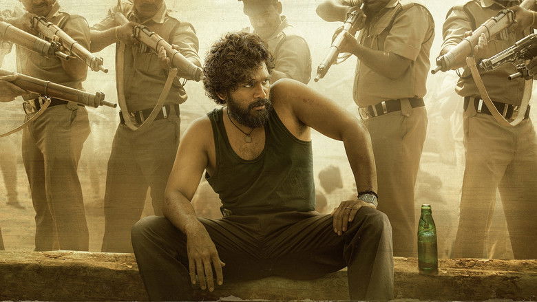 кадр из фильма Пушпа