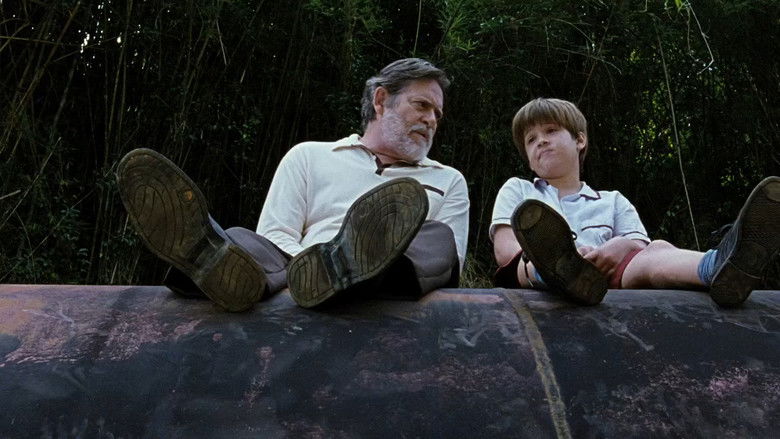 кадр из фильма Meu Pé de Laranja Lima