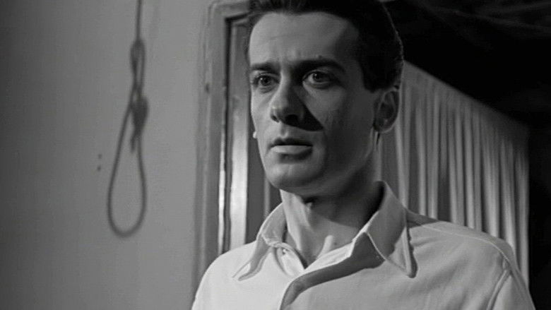 кадр из фильма Το Οργανάκι του Αττίκ