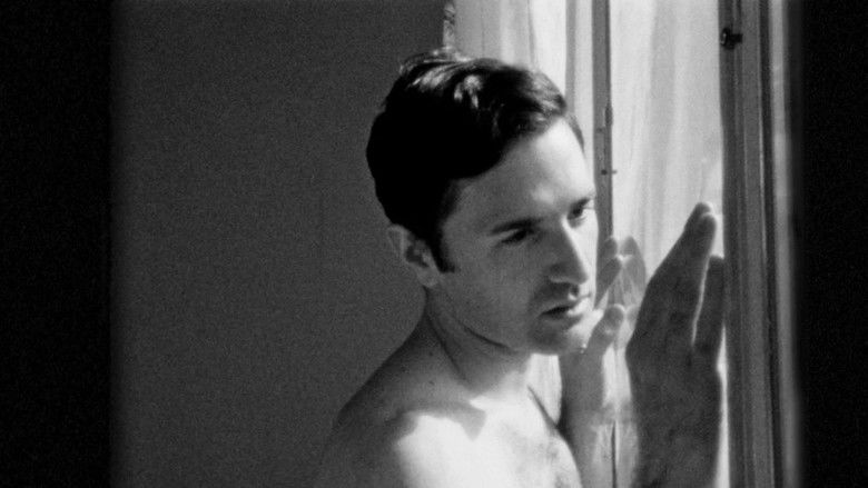 кадр из фильма While the Unicorn Is Watching Me