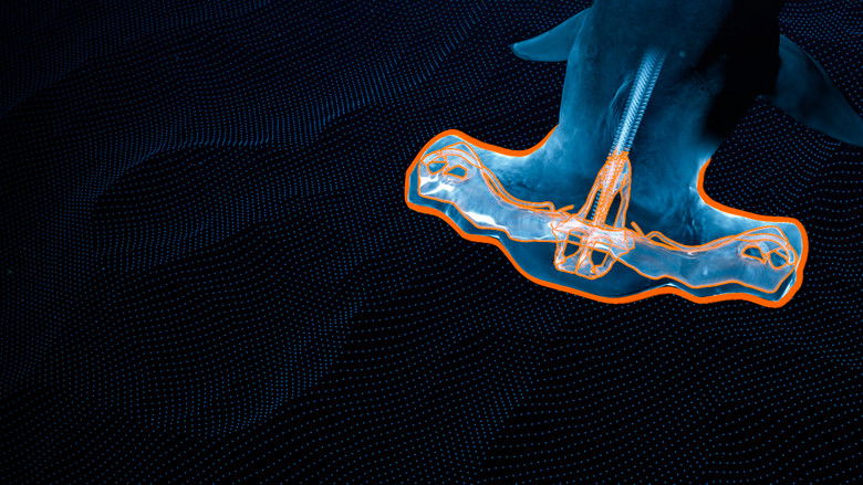 кадр из фильма Mega Hammerhead