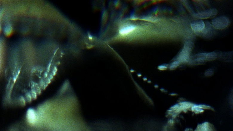 кадр из фильма 棱镜