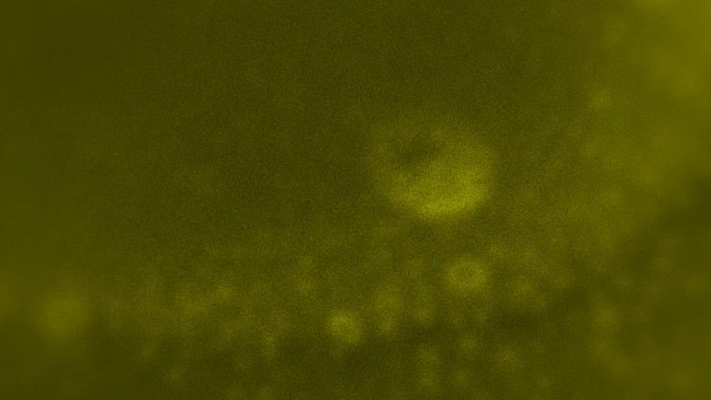 кадр из фильма SINKpisser