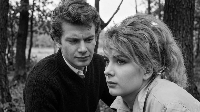 кадр из фильма Şoför Nebahat ve Kızı