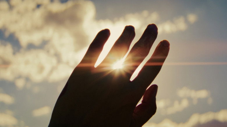 кадр из фильма The Way of the Wind