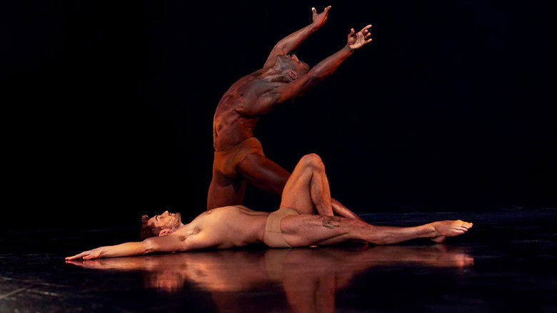 кадр из фильма Daytripper