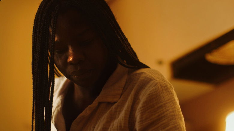 кадр из фильма Declutter