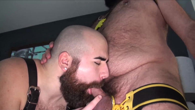 кадр из фильма Bear Paws 2