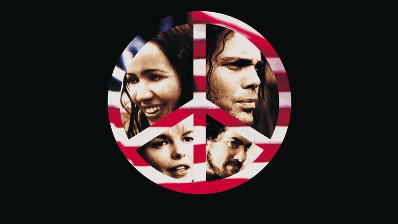 кадр из фильма Укради этот фильм