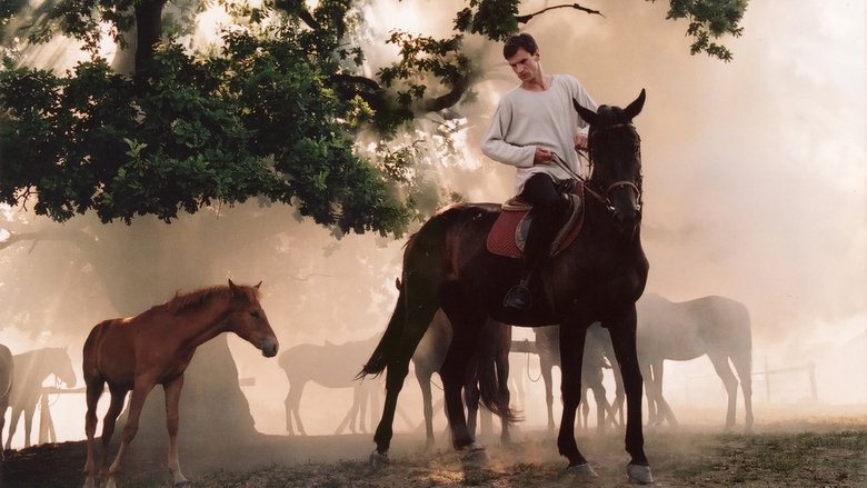 кадр из фильма Шум вітру