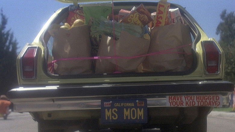 кадр из фильма The Incredible Shrinking Woman