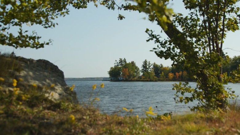 кадр из фильма That Feeling, You Can Only Say What It Is In French