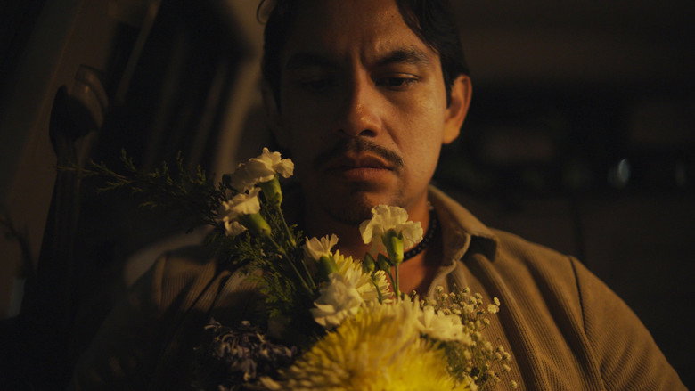 кадр из фильма Tailored for you