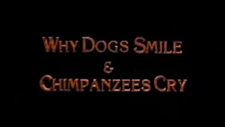 кадр из фильма Why Dogs Smile and Chimpanzees Cry