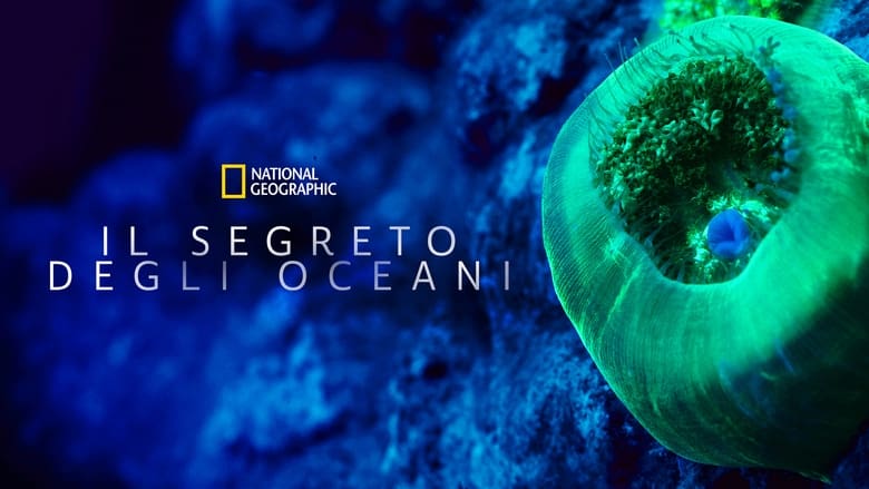 кадр из фильма Il segreto degli oceani