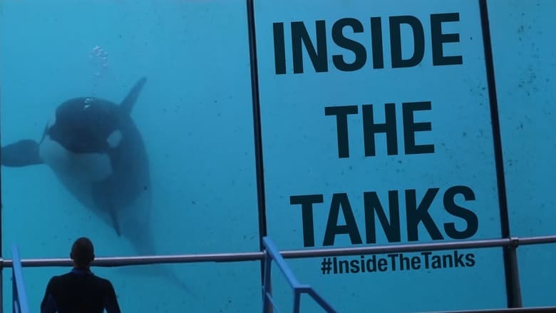 кадр из фильма Inside the Tanks