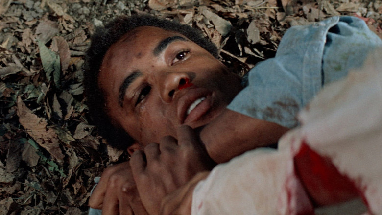 кадр из фильма The Learning Tree