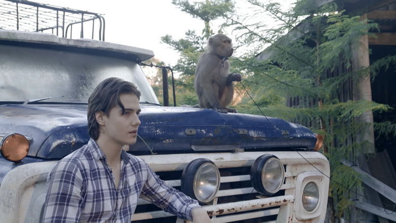 кадр из фильма The Last Zombie