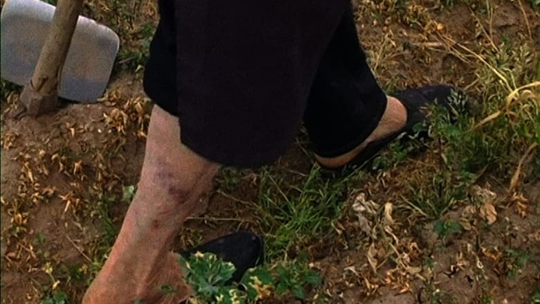 кадр из фильма Terra que marca